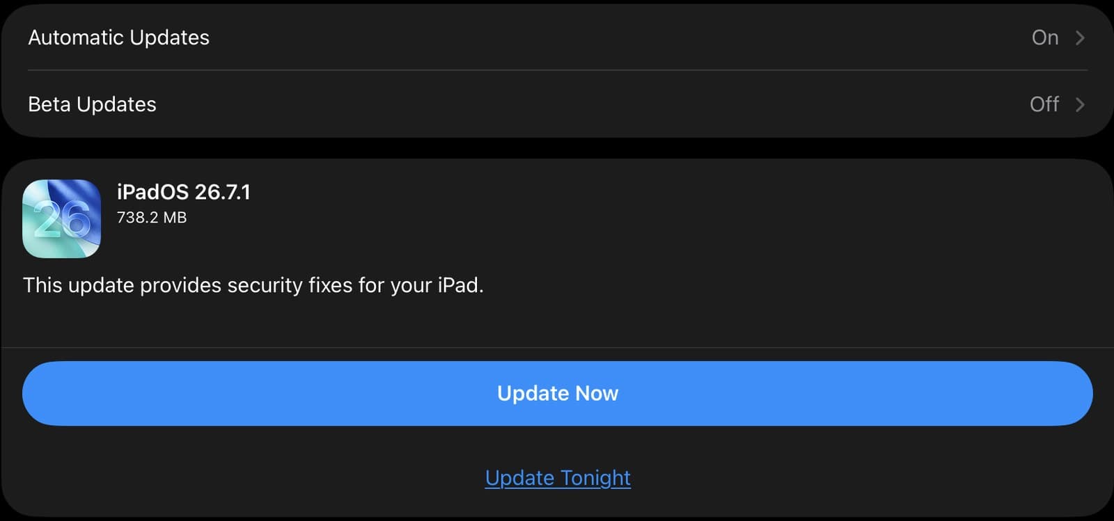 Software Update on an iPad showing an iPadOS update with the Update Now button.
