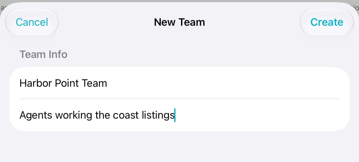 New Team with Harbor Point Team typed in.