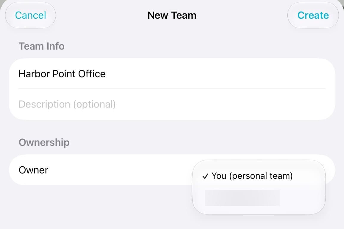New Team with the Owner menu: You (personal team) or your organization.