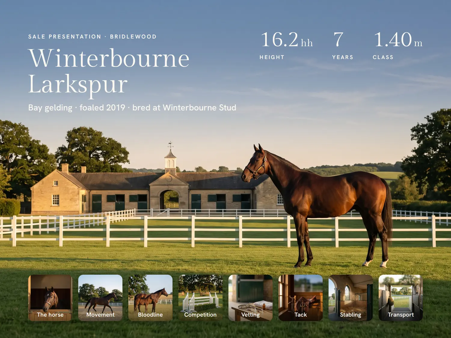 Winterbourne Larkspur — Classic, built in PitchBoards.