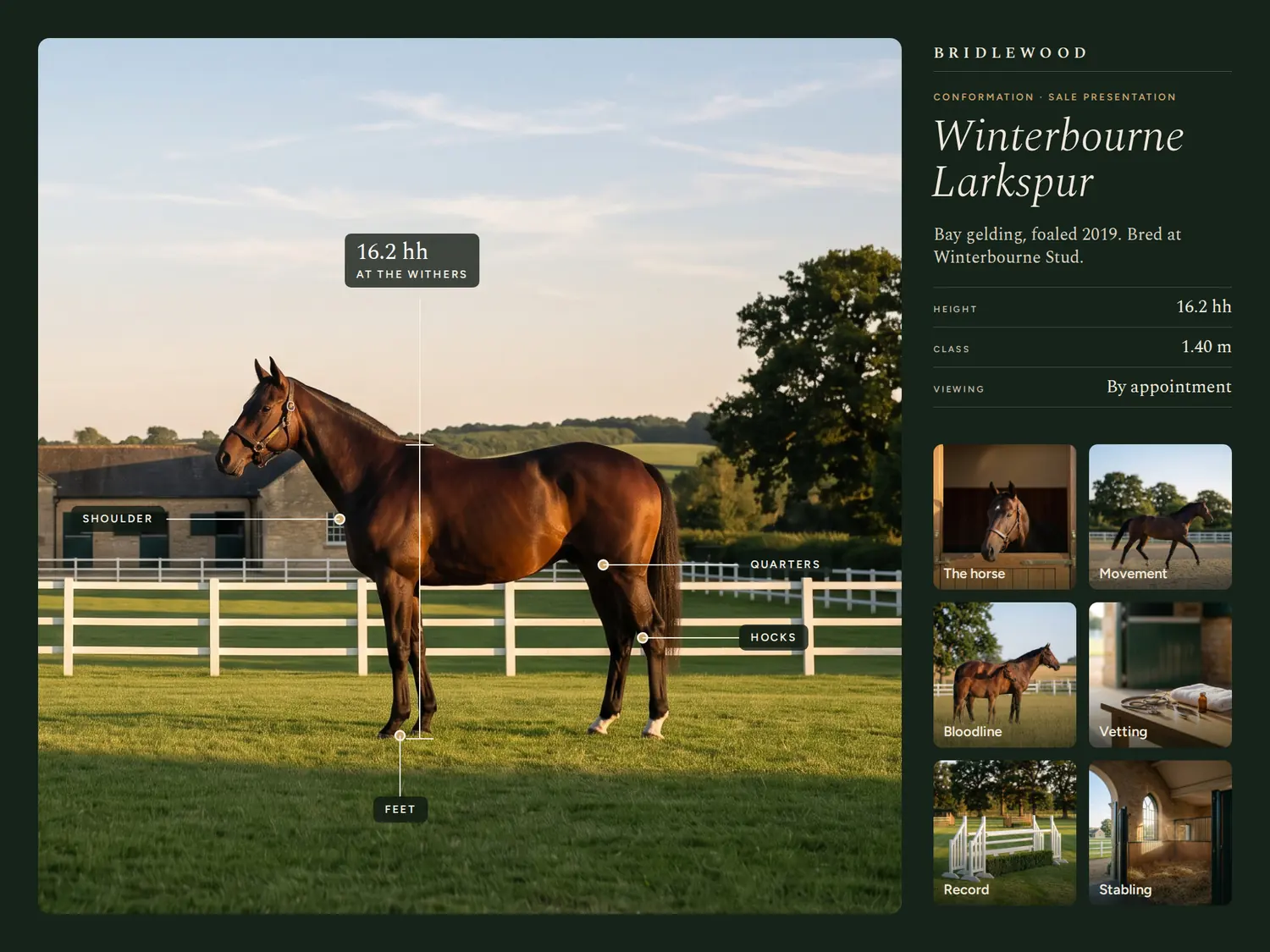 Winterbourne Larkspur — Conformation, built in PitchBoards.