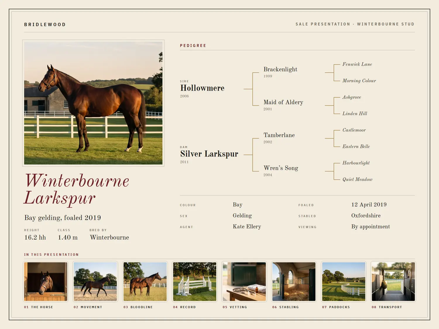 Winterbourne Larkspur — Pedigree, built in PitchBoards.